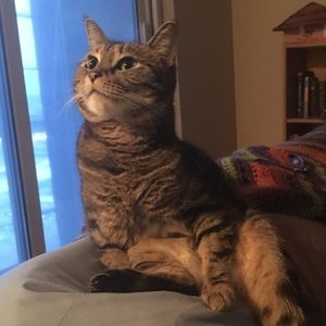 Meet your Posher, Andrew